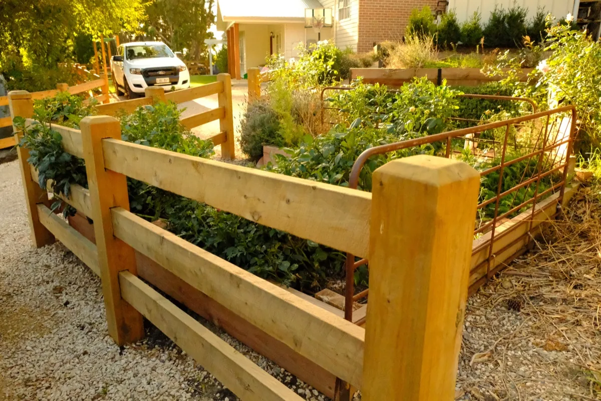 Timber boundary fence and gate in Willunga