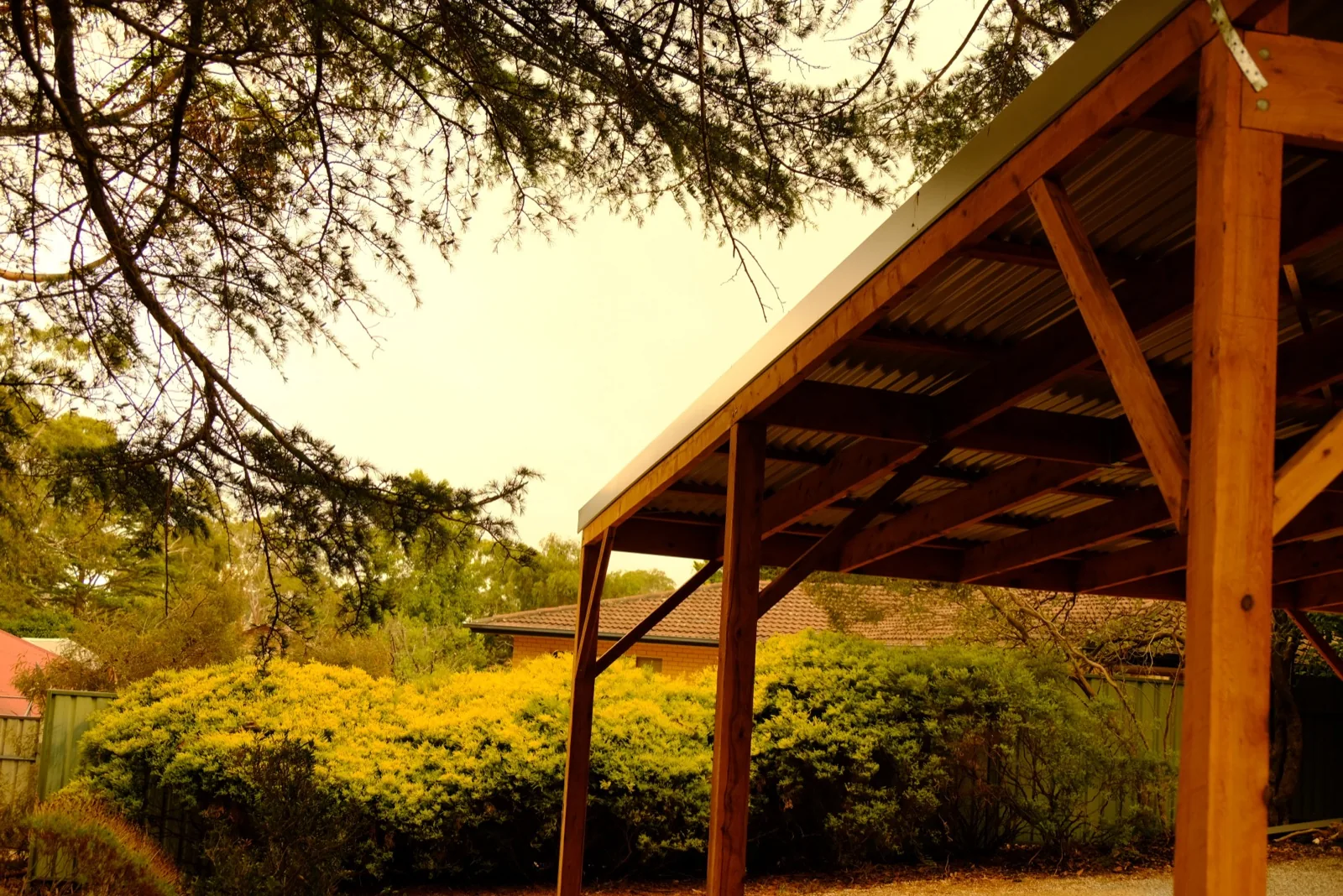 Timber pergola roof edge against the trees