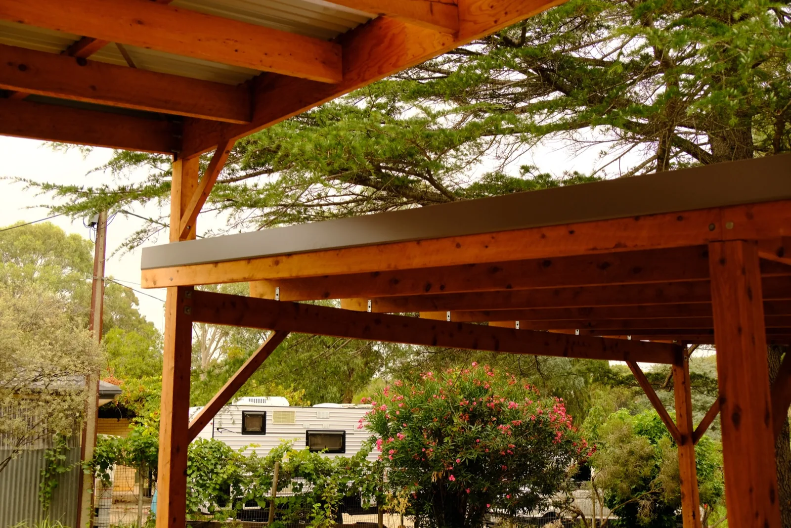 Timber pergola beams with the bush garden behind
