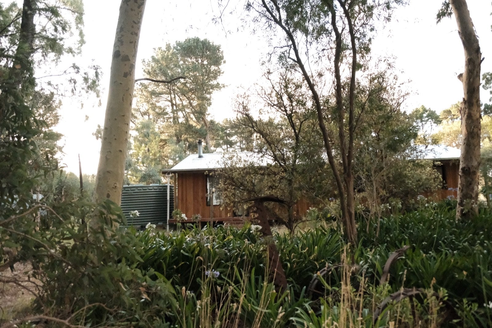 Timber feature detail in the renovation