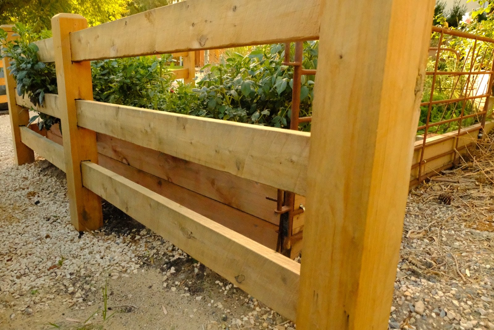 Fence panel detail and timber grain