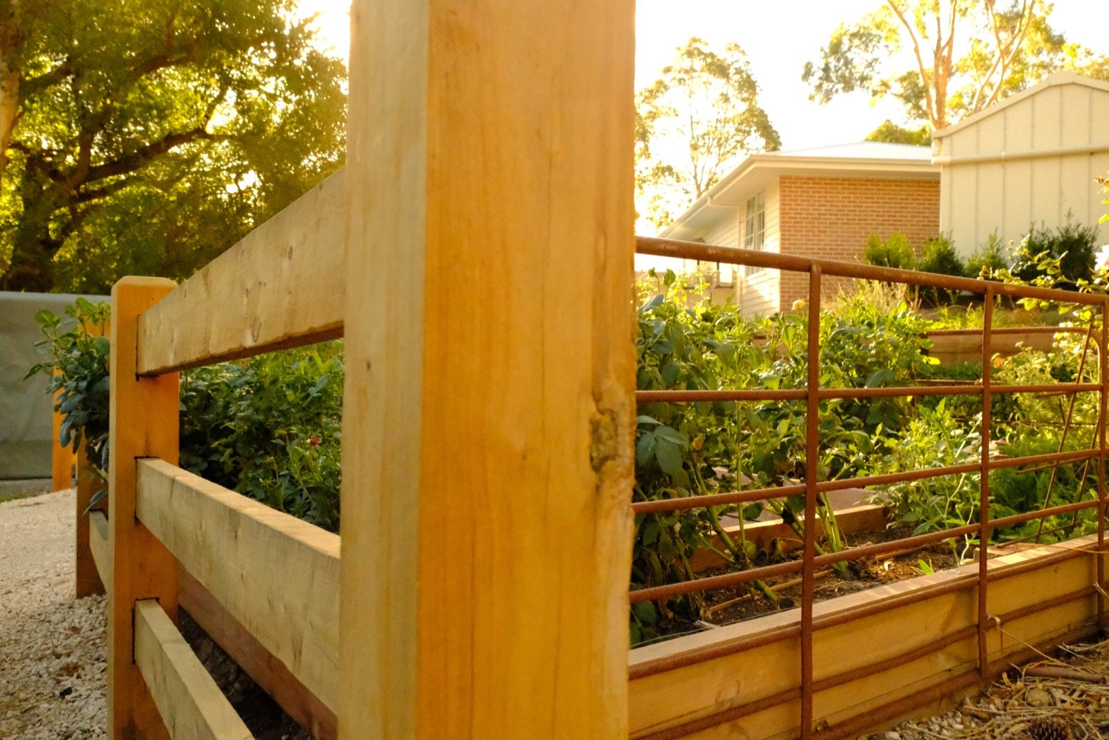 Fence following natural contour of land