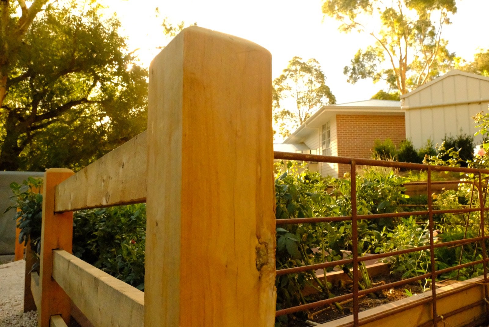 Completed fence from street view