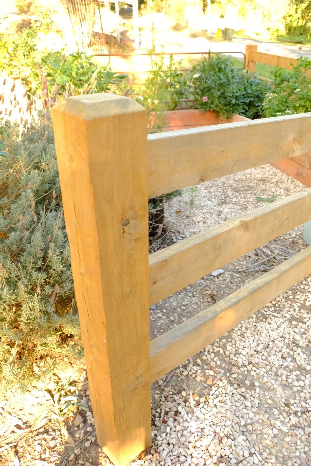 Fence line with garden setting